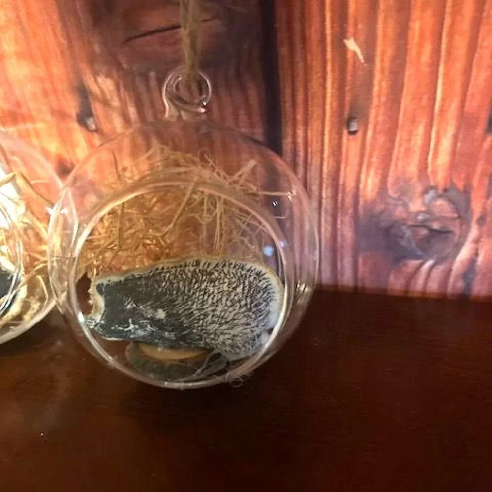 Decorative Glass Hanging Animal Ornaments Set of 2 hedgehog and‎ squirrel